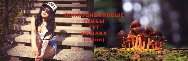 мдпв Корсаков