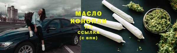мдпв Краснослободск