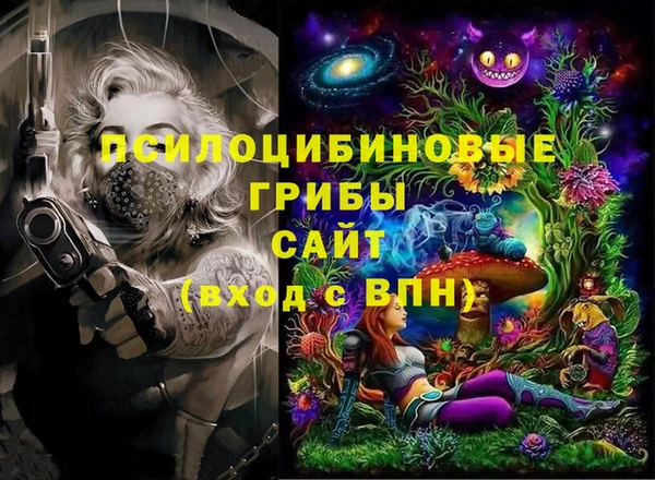 мдпв Краснослободск