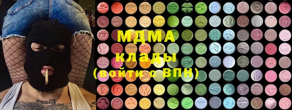мдпв Краснослободск