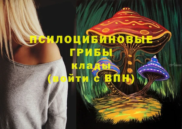 соль курить ск Козловка