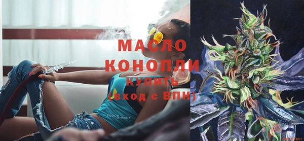 мдпв Краснослободск