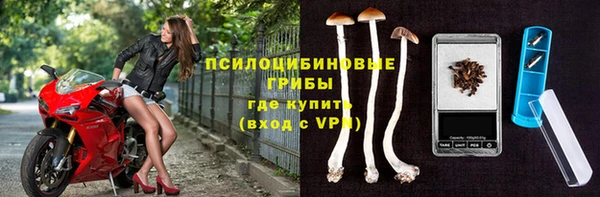 мдпв Краснотурьинск