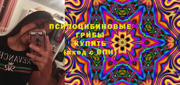 мдпв Краснослободск