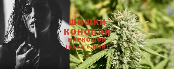 мдпв Краснослободск