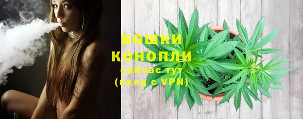 мдпв Краснотурьинск