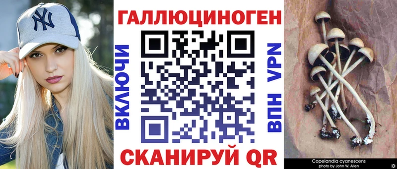 Галлюциногенные грибы MAGIC MUSHROOMS  Лакинск 
